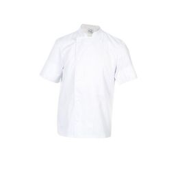 VESTE DE CUISINE MANCHES COURTES P/C - MADRAS