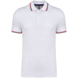 POLO HOMME MANCHES COURTES MAILLE PIQU&Eacute;E 100% COTON 10% VISCOSE 220GRS - K250